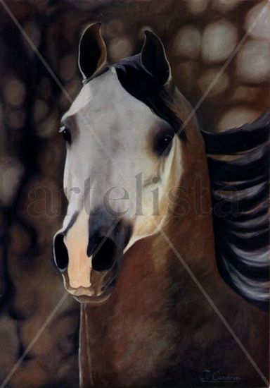 caballo arabe Oil Canvas Animals