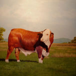 animales thumbnail 2