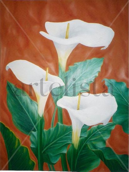 Calas Oil Canvas Floral Painting