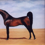 animales thumbnail 1