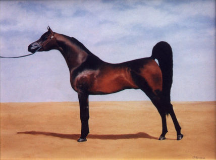 El zaino