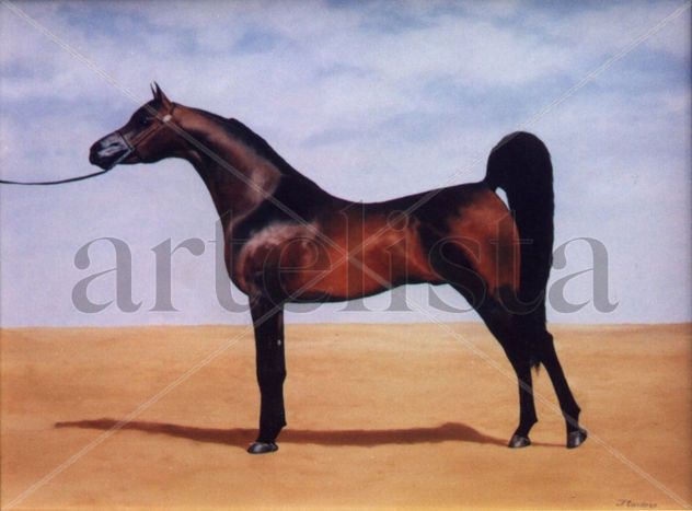 el zaino
