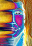 CASI UN ROSTRO