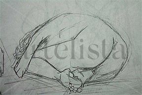 ENSAYO