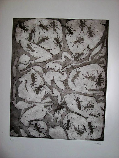 Hormigas Aquatint