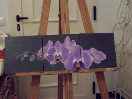 Orquidea