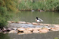 Naturaleza