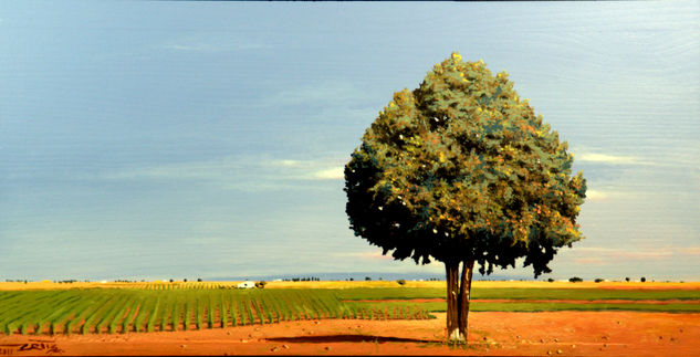 "  La sabina " Oil Canvas Landscaping