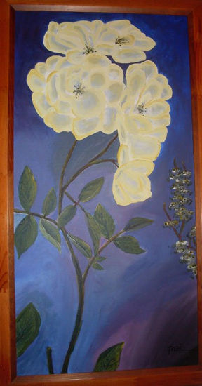 Rosas blancas 