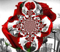 Fractal doble de rosas