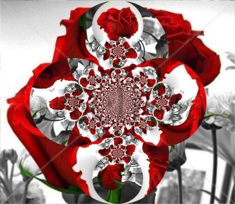 Fractal doble de rosas Óleo Lienzo Floral