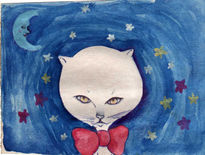 Gato luna y estrellas