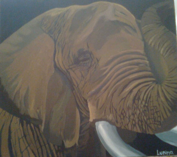 Elefante Acrylic Panel Animals