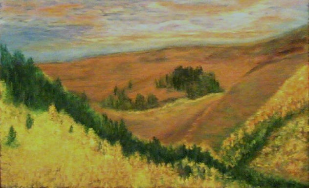 BOSQUE RIO NEGRO