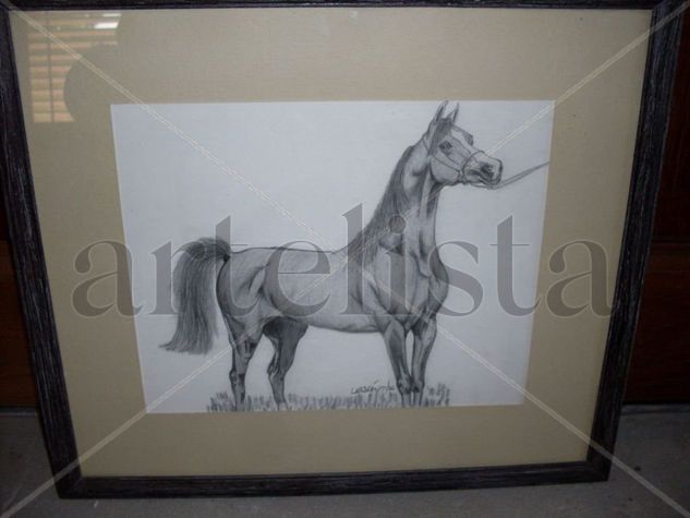 Caballo Pencil