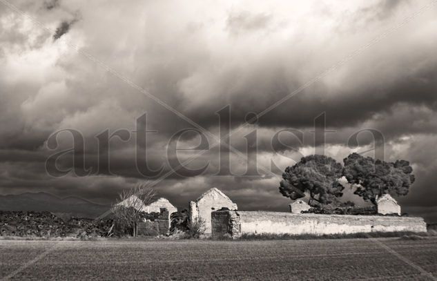 cementerio de neumáticos Naturaleza Blanco y Negro (Digital)