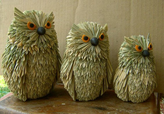 Buhos 