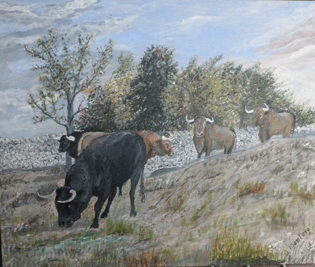 TOROS PASTANDO EN SALAMANCA Oil Canvas Animals