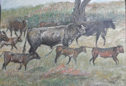 Toros corriendo por...