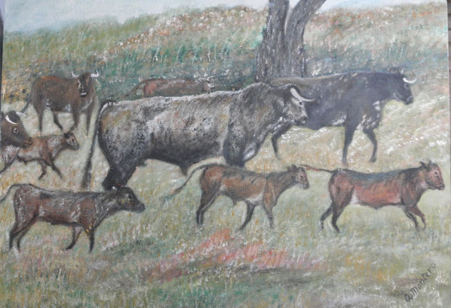 TOROS CORRIENDO POR EL PRADO