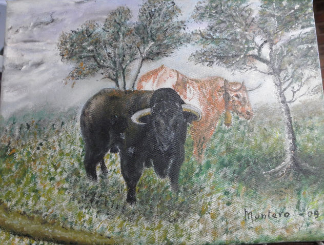 TOROS PASTANDO