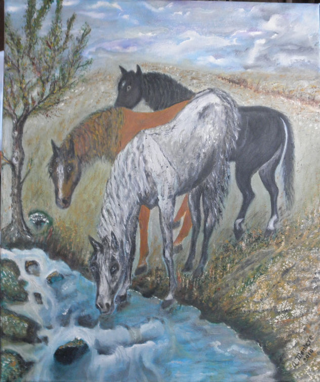 CABALLOS SEDIENTOS