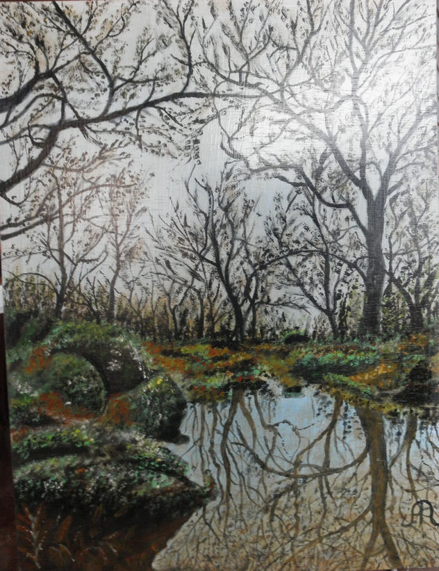 REFLEJOS DE INVIERNO