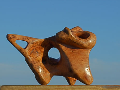 Polimòrfic