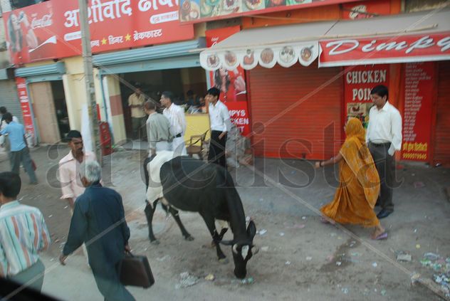 INDIA2008