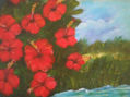 Hibiscus