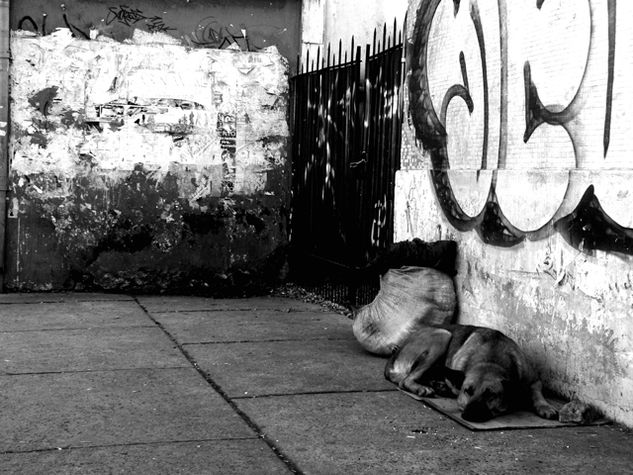 Siesta Other Themes Black and White (Digital)