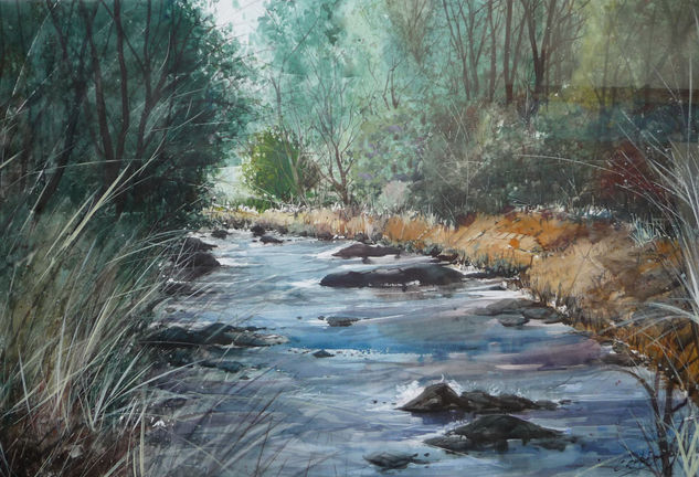 RIO EN EL BOSQUE Watercolour Paper Landscaping