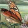 Mariposa (Detalle)