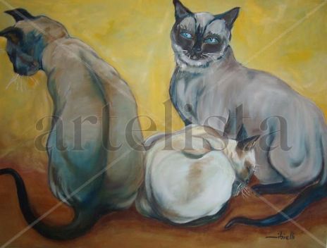 Gatos