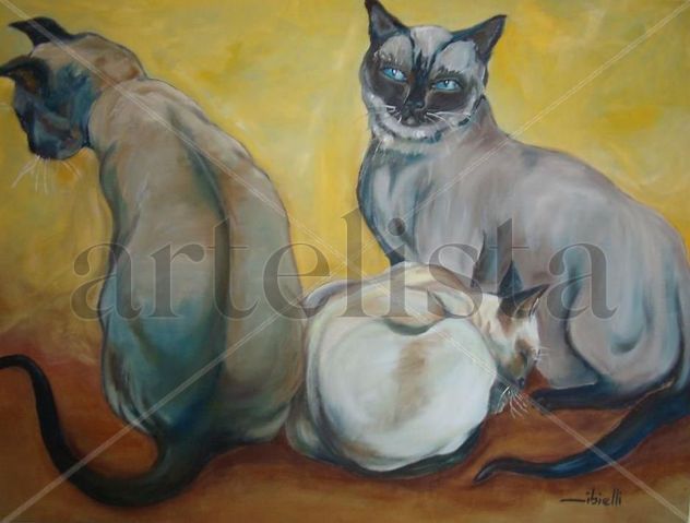 Gatos