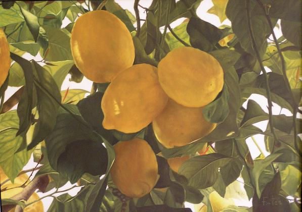 Limones de Mondrón Oil Canvas Floral Painting