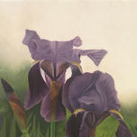 Flores thumbnail 2
