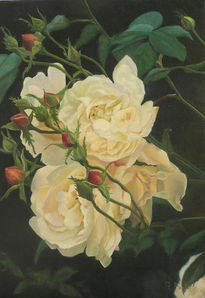 Rosas blancas