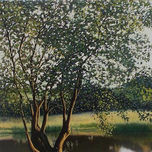 Paisaje thumbnail 2