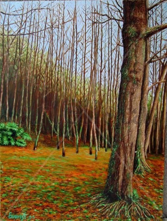 TARDOR
