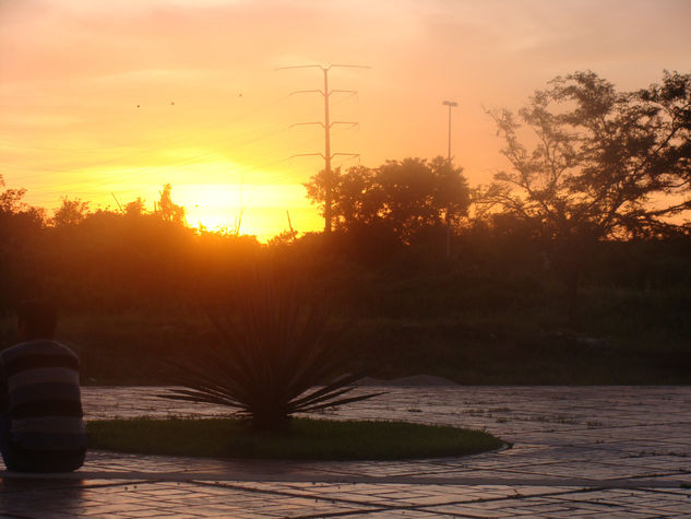 la caida del ocaso es la caida del henequen 