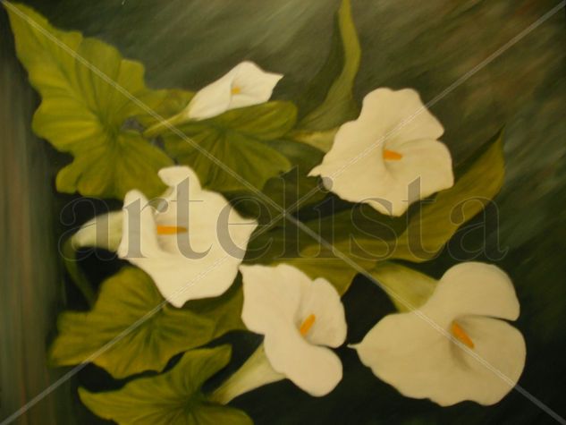 Calas Oil Canvas Floral Painting