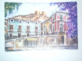 la plaza  mula