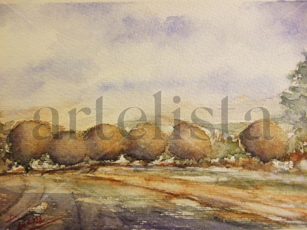 Arboleda Watercolour Paper Landscaping