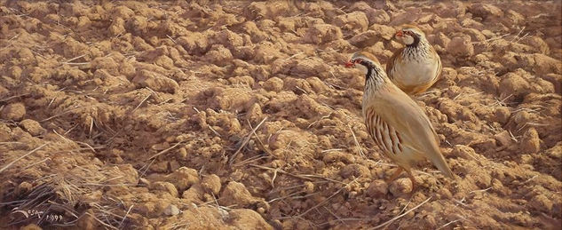 Perdices y rastrojo Óleo Lienzo Animales