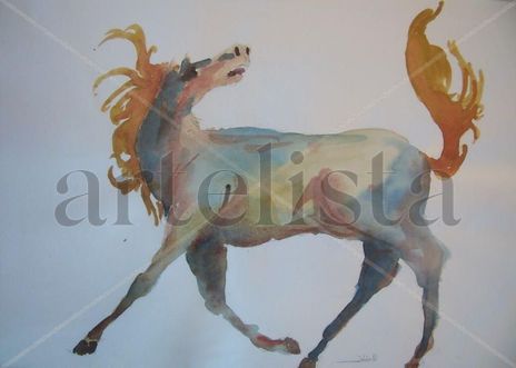 Cavalo em movimento