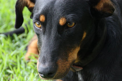 ‟Profunda mirada"