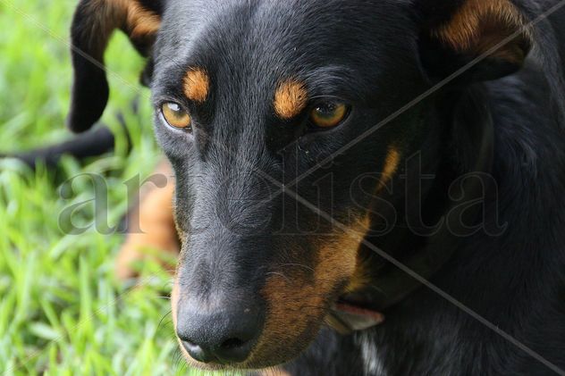 ‟Profunda mirada"