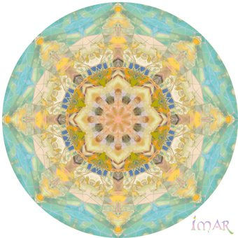 Mandala 9