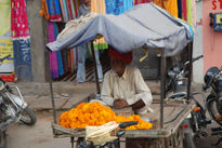 India 2008